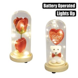 Orn occasion love forever dome asstd